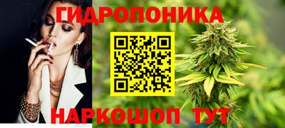твердый Будённовск