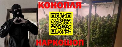 твердый Будённовск