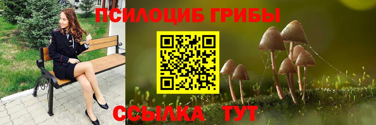 Галлюциногенные грибы Magic Shrooms Лесосибирск